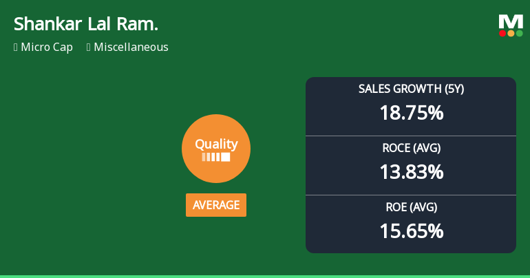 Shankar Lal Rampal Dye-Chem Ltd Quality Grade Downgrade: A Detailed Fundamental Analysis