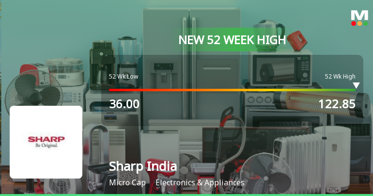 Broad-Based Technical Strength Lifts Sharp India Ltd to 52-Week High of Rs 122.85