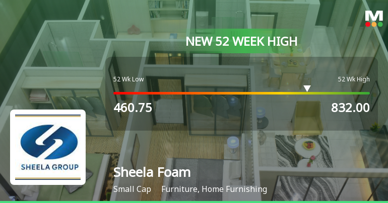 Broad-Based Technical Strength Lifts Sheela Foam Ltd. to 52-Week High of Rs 832