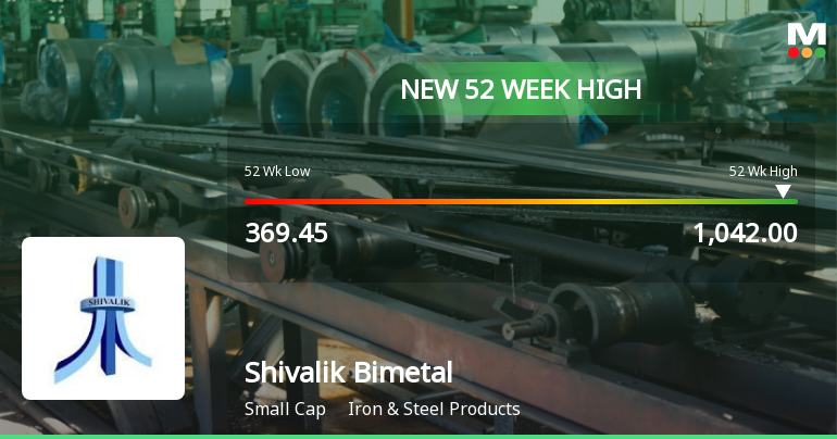 Broad-Based Technical Strength Lifts Shivalik Bimetal Controls Ltd to 52-Week High of Rs 1014.75