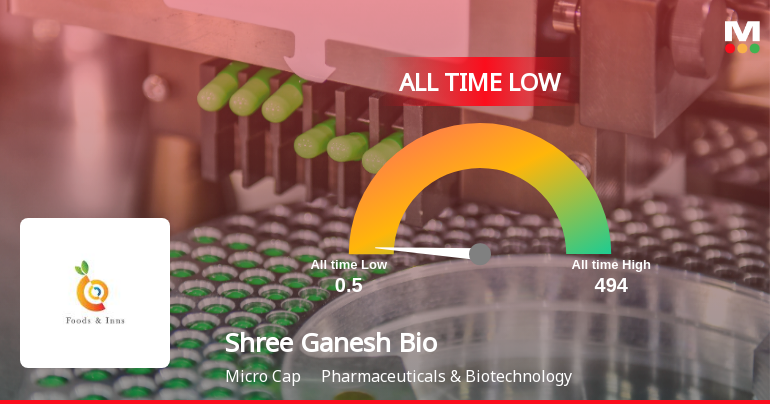 Markets Rise, But Shree Ganesh Biotech India Ltd Slides to All-Time Low Amid Stock-Specific Sell-Off