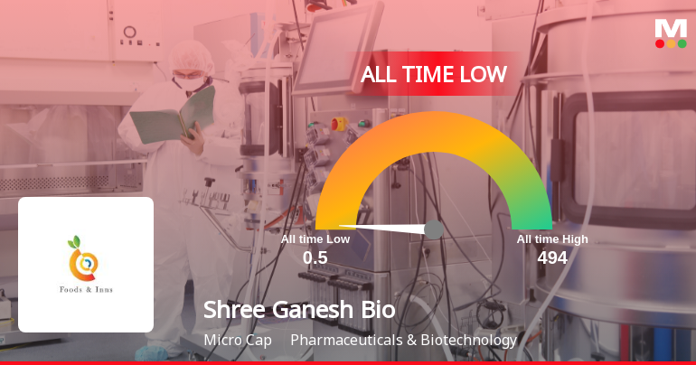 Shree Ganesh Biotech India Ltd Slides to All-Time Low Amid Prolonged Downtrend