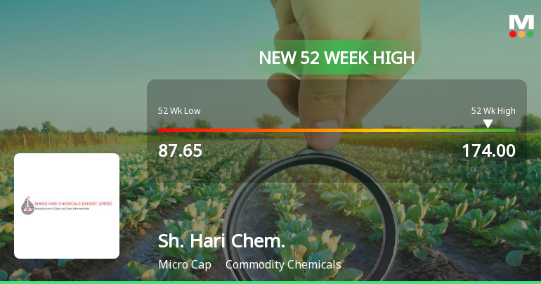 Broad-Based Technical Strength Lifts Shree Hari Chemicals Export Ltd to 52-Week High of Rs 174