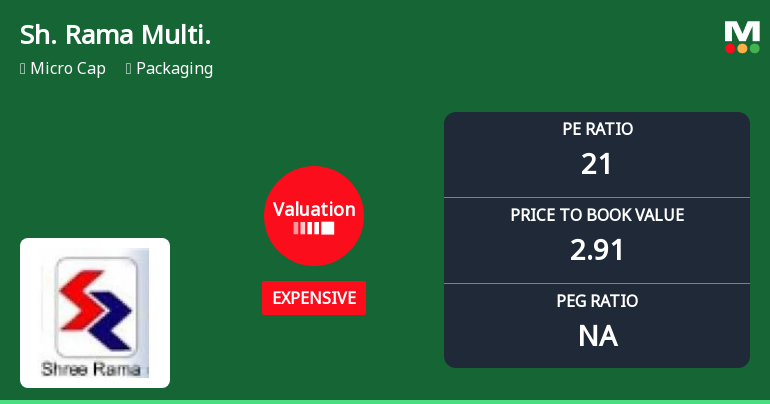 Shree Rama Multi-Tech Ltd Valuation Shifts Signal Price Attractiveness Decline
