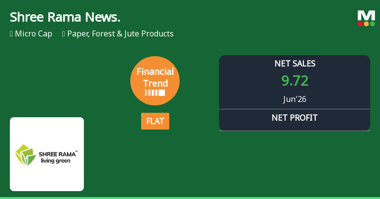 Shree Rama Newsprint Ltd Reports Flat Quarterly Performance Amid Margin Pressures