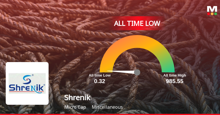 Shrenik Ltd Extends Losing Streak to Multiple Sessions, Hits All-Time Low