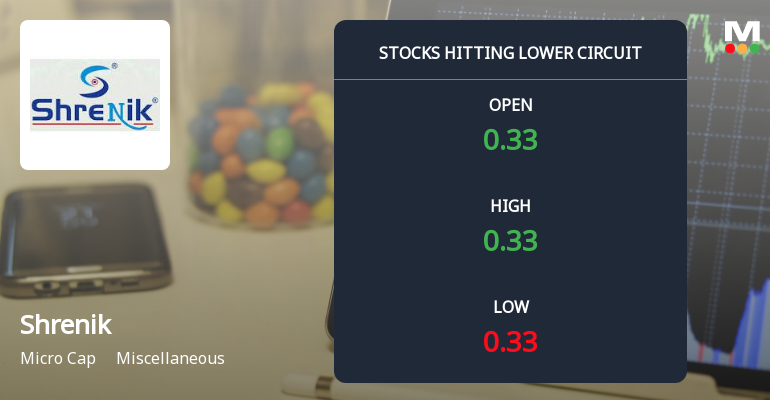 Shrenik Ltd Locks at Lower Circuit With 5% Loss — Sellers Queue, No Buyers in Sight