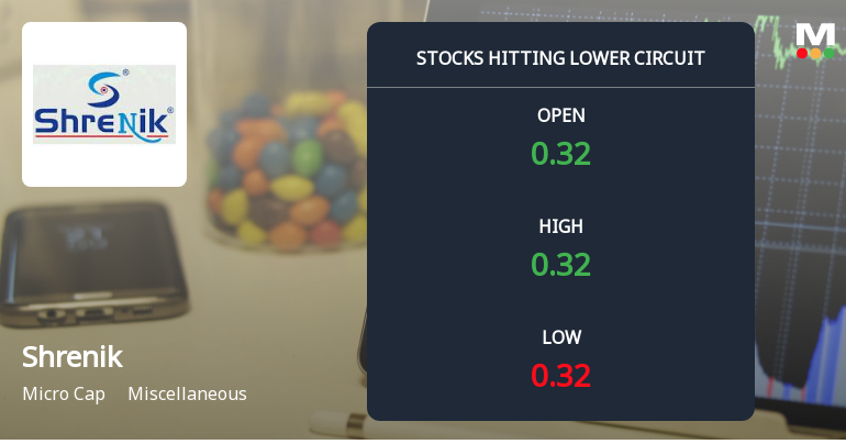 Shrenik Ltd Locks at Lower Circuit With 3.03% Loss — Sellers Queue, No Buyers in Sight