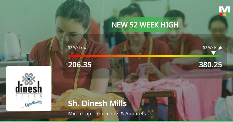 Broad-Based Technical Strength Lifts Shri Dinesh Mills Ltd to 52-Week High of Rs 380.25