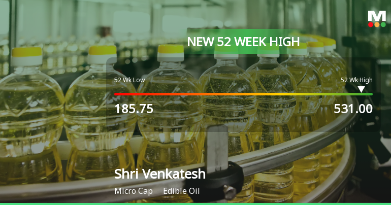 Broad-Based Technical Strength Lifts Shri Venkatesh Refineries Ltd to 52-Week High of Rs 531