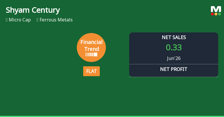 Shyam Century Ferrous Ltd Reports Flat Quarterly Performance Amid Market Challenges