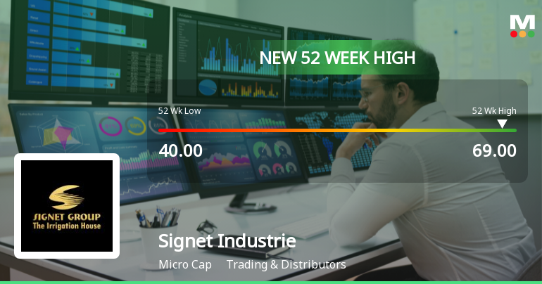 Broad-Based Technical Strength Lifts Signet Industries Ltd to 52-Week High of Rs 69