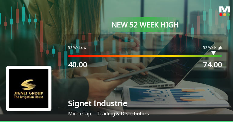 Broad-Based Technical Strength Lifts Signet Industries Ltd to 52-Week High of Rs 74