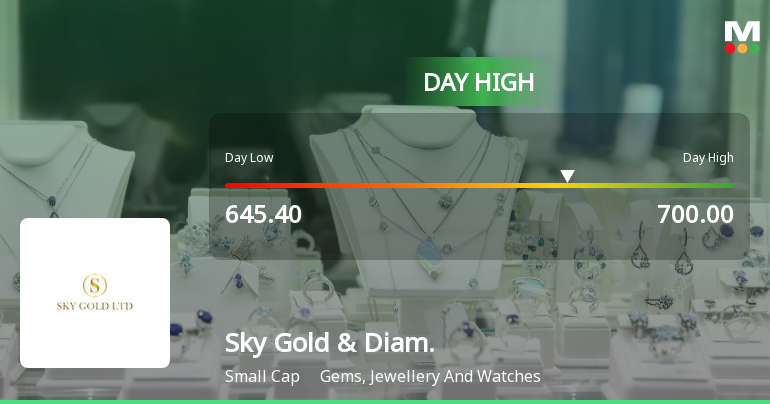 Sky Gold & Diamonds Ltd Surges 8.6% to Day's High of Rs 691 — Outperforms Sector by 6.91 Percentage Points