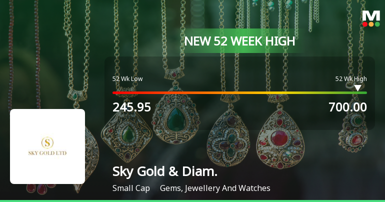Broad-Based Technical Strength Lifts Sky Gold & Diamonds Ltd to 52-Week High of Rs 700