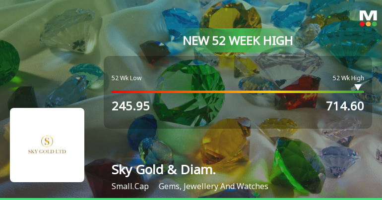 Broad-Based Technical Strength Lifts Sky Gold & Diamonds Ltd to 52-Week High of Rs 714.6