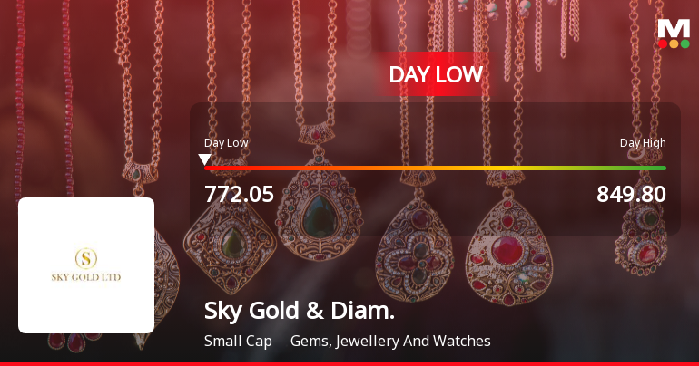 Sky Gold & Diamonds Ltd Hits Intraday Low Amid Price Pressure