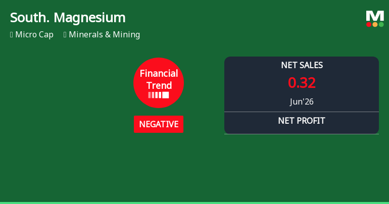 Southern Magnesium & Chemicals Ltd Reports Sharp Quarterly Decline Amid Negative Financial Trend