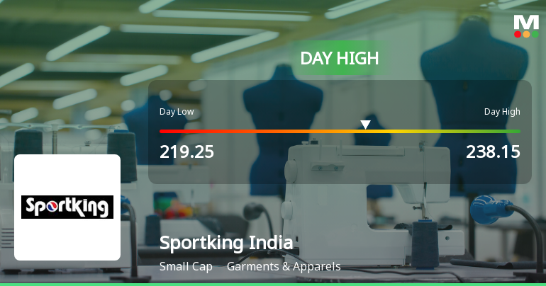 Sportking India Ltd Surges 15.7% to Day's High of Rs 232.45 — Outperforms Sector by 13.5 Percentage Points