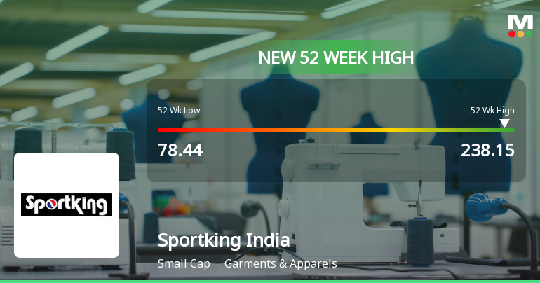 Broad-Based Technical Strength Lifts Sportking India Ltd to 52-Week High of Rs 238.15