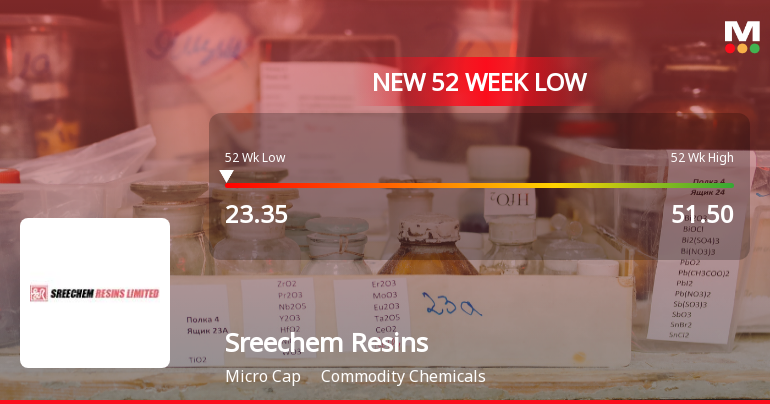 Sreechem Resins Ltd. Falls to 52-Week Low of Rs 23.35 as Sell-Off Deepens