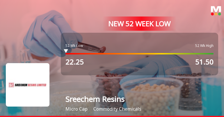 Sreechem Resins Ltd. Falls to 52-Week Low of Rs 22.25 as Sell-Off Deepens