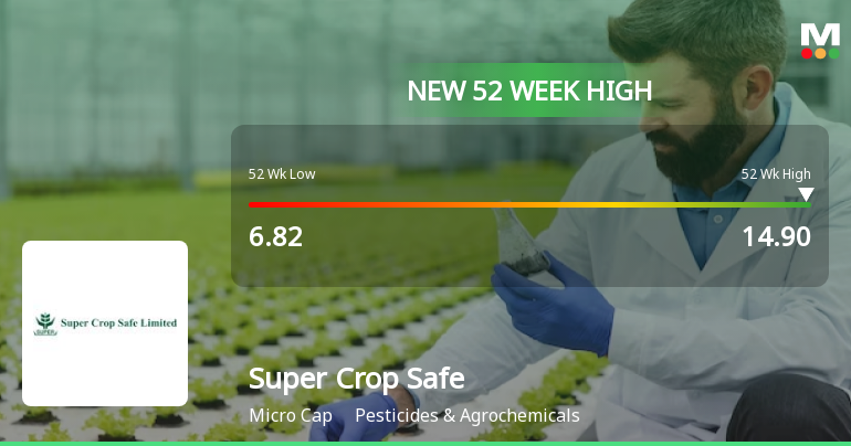 Broad-Based Technical Strength Lifts Super Crop Safe Ltd to 52-Week High of Rs 14.55