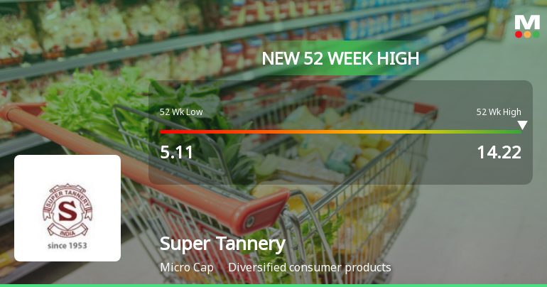 Broad-Based Technical Strength Lifts Super Tannery Ltd to 52-Week High of Rs 14.22