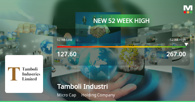 Broad-Based Technical Strength Lifts Tamboli Industries Ltd to 52-Week High of Rs 267
