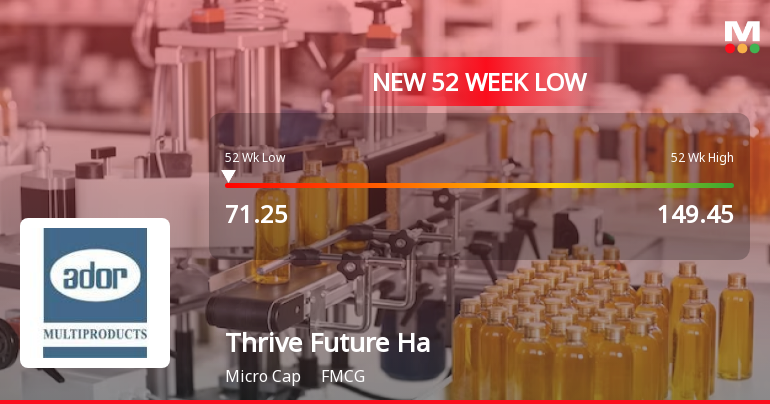 Markets Rally, But Thrive Future Habitats Limited Sinks to 52-Week Low in Stock-Specific Sell-Off