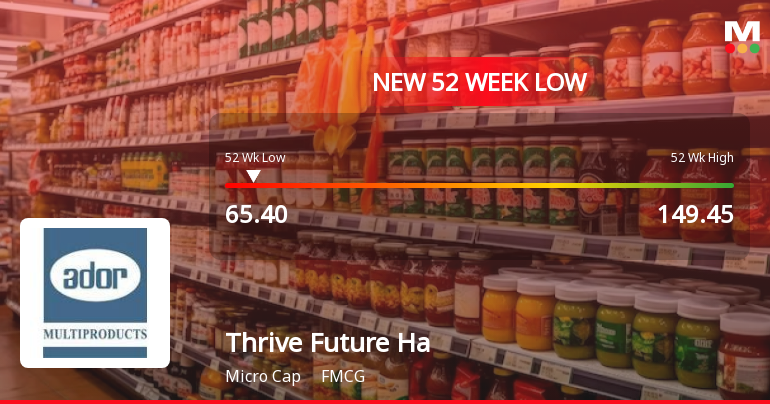 Markets Rally, But Thrive Future Habitats Limited Sinks to 52-Week Low in Stock-Specific Sell-Off