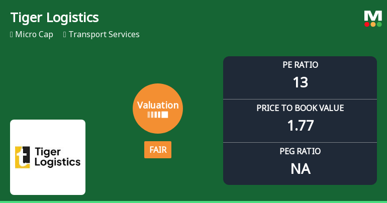 Tiger Logistics Valuation Shifts to Fair Amidst Market Pressure