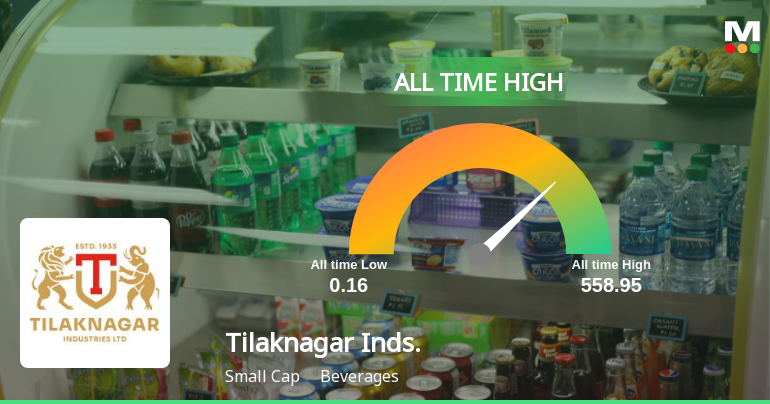 Strong Momentum Meets Stretched Valuations as Tilaknagar Industries Ltd Reaches All-Time High