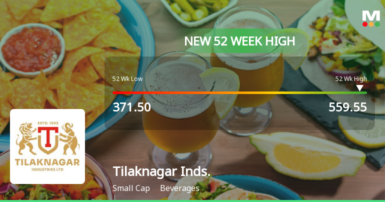 Broad-Based Technical Strength Lifts Tilaknagar Industries Ltd to 52-Week High of Rs 559.55
