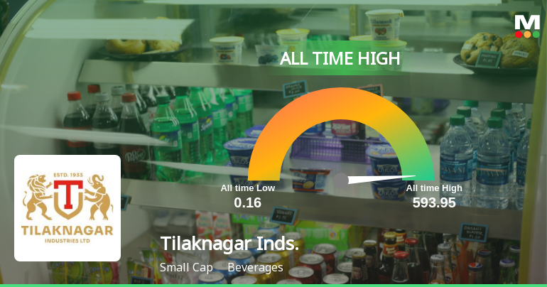 Strong Momentum Meets Stretched Valuations as Tilaknagar Industries Ltd Reaches All-Time High
