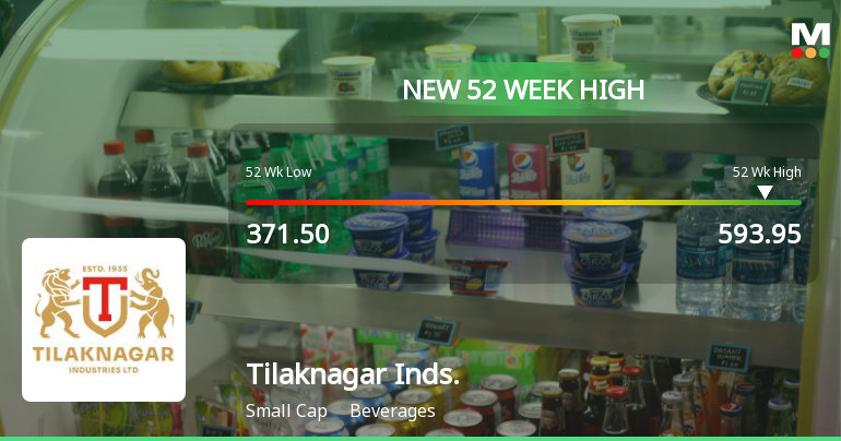 Broad-Based Technical Strength Lifts Tilaknagar Industries Ltd to 52-Week High of Rs 593.95