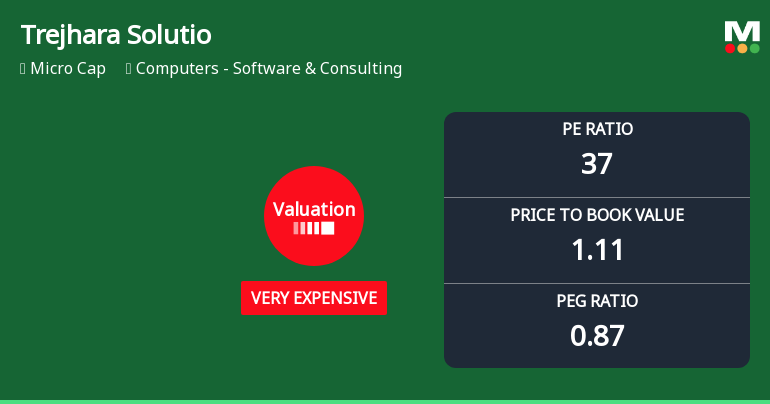 Trejhara Solutions Ltd Valuation Shifts Signal Heightened Price Risk