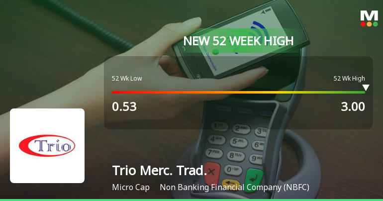 Broad-Based Technical Strength Lifts Trio Mercantile & Trading Ltd to 52-Week High of Rs 3