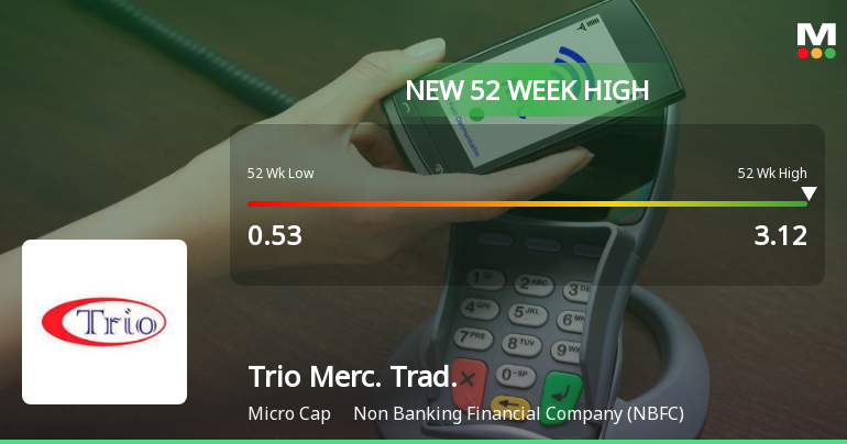 Broad-Based Technical Strength Lifts Trio Mercantile & Trading Ltd to 52-Week High of Rs 3.12