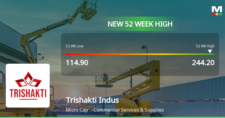 Broad-Based Technical Strength Lifts Trishakti Industries Ltd to 52-Week High of Rs 244.2