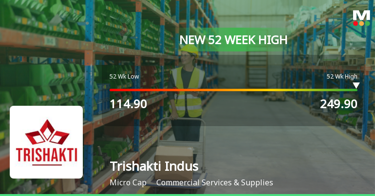 Broad-Based Technical Strength Lifts Trishakti Industries Ltd to 52-Week High of Rs 249.9