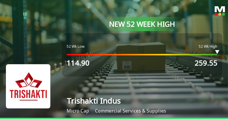 Broad-Based Technical Strength Lifts Trishakti Industries Ltd to 52-Week High of Rs 259.55