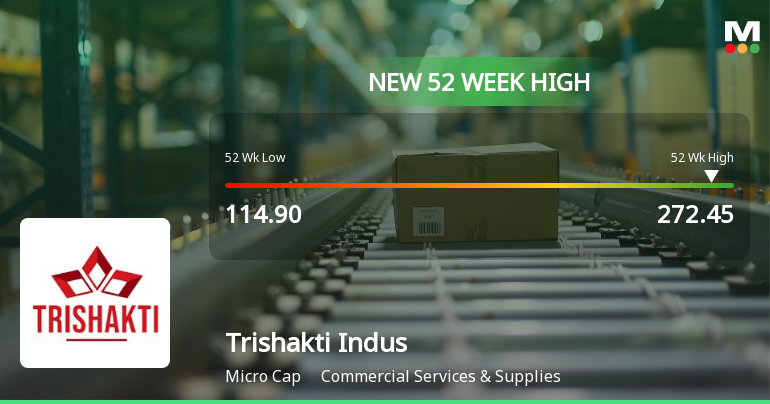 Broad-Based Technical Strength Lifts Trishakti Industries Ltd to 52-Week High of Rs 272.45