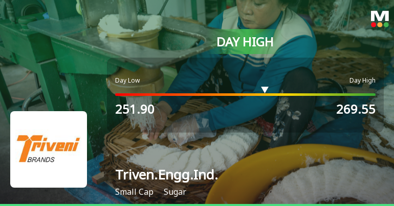 Triveni Engineering and Industries Ltd Surges 7.18% to Day's High of Rs 260.55 — Outperforms Sugar Sector by 3.54 Percentage Points