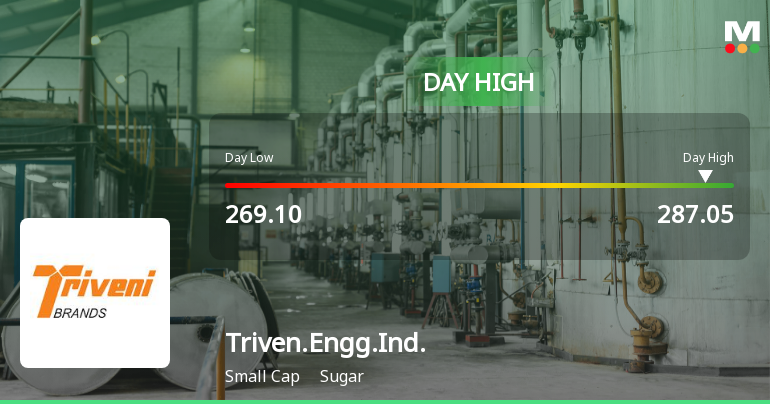 Triveni Engineering and Industries Ltd Surges 7.66% to Day's High of Rs 287.05 — Outperforms Sugar Sector by 4.29 Percentage Points