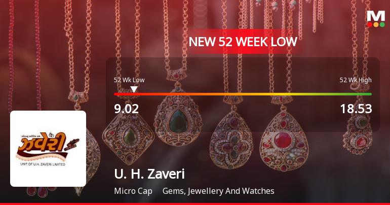Markets Rally, But U. H. Zaveri Ltd Sinks to 52-Week Low in Stock-Specific Sell-Off