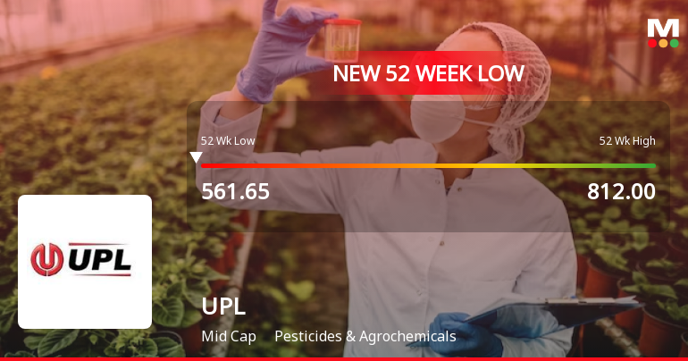 Markets Rally, But UPL Ltd. Sinks to 52-Week Low in Stock-Specific Sell-Off
