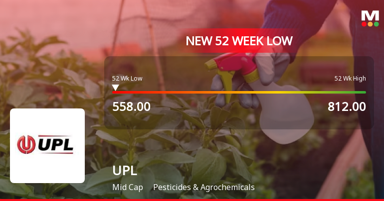 Markets Rally, But UPL Ltd. Sinks to 52-Week Low in Stock-Specific Sell-Off
