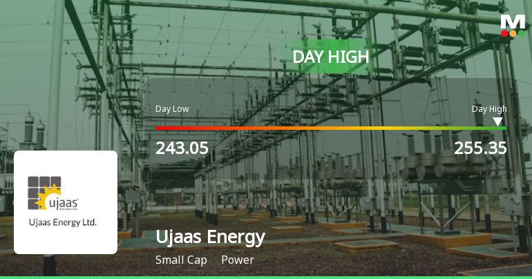 Ujaas Energy Ltd Surges 9.99% to Day's High of Rs 255.35 — Outperforms Sector by 9.12 Percentage Points