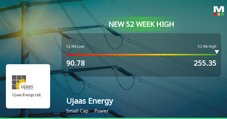 Broad-Based Technical Strength Lifts Ujaas Energy Ltd to 52-Week High of Rs 255.35